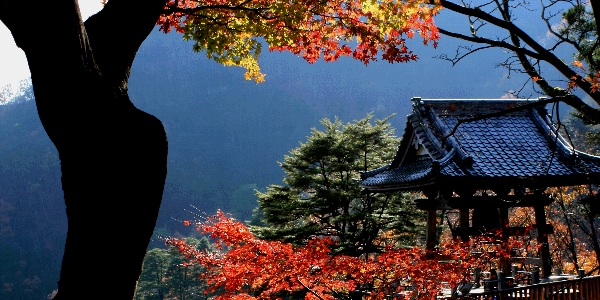 黒瀧山不動寺の鐘