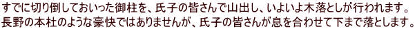 すでに切り倒しておいった御柱を、氏子の皆さんで山出し、いよいよ木落としが行われます。 長野の本杜のような豪快ではありませんが、氏子の皆さんが息を合わせて下まで落とします。