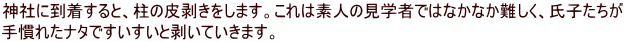 神社に到着すると、柱の皮剥きをします。これは素人の見学者ではなかなか難しく、氏子たちが 手慣れたナタですいすいと剥いていきます。